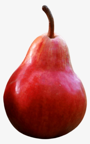Free Png Red Pear Png Images Transparent - Pear Red Comice