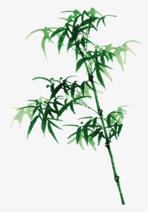 Bamboo Painting Transparent Decorative - 2010