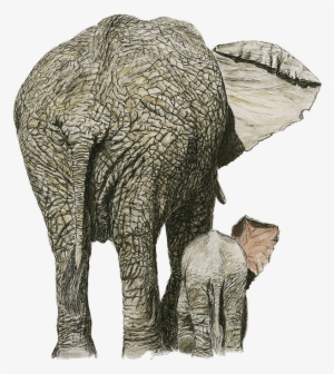 Elephant -