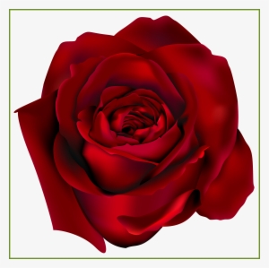 Falling Flower Petals Png - Red Rose Clipart Transparent