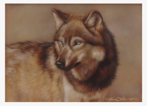 Caught His Eye Wolf, Original Watercolor Painting By - Watercolor Painting