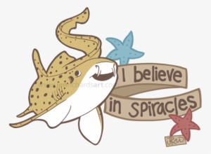 Elasmobranch Clipart Watercolor - Jen Richards