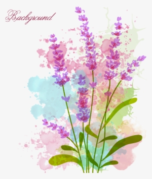 Vector Stock Watercolor Flowers Vector Material Transprent - Watercolor Flower Png