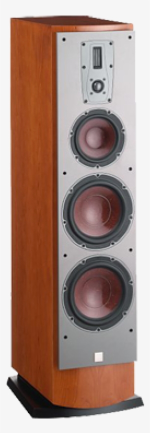 Mentor - Dali Mentor 8