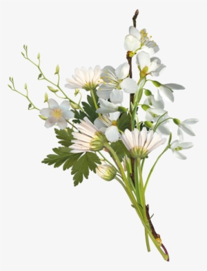 Flower Bouquet Chess 2017 Clip Art - White Small Flowers Png