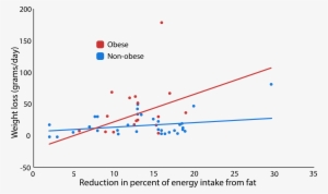 The Effects Of High-fat Diet On Weight Loss - Plot
