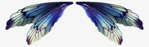 Visit - Fairy Wings Transparent Background