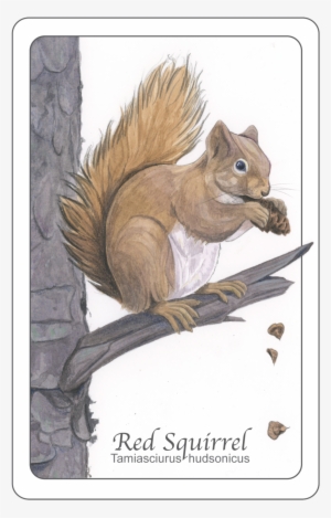 Nature Woodlands<br>watercolor And