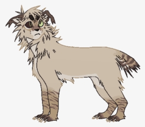 Dustythorns Highrisers Wiki Fandom Powered By Wikia - Masai Lion