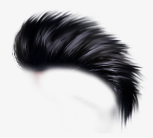 Hair Png Hd - Hair Style Png Hd