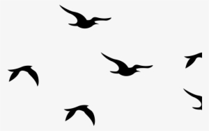Flying Bird Clipart Bird Png - Portable Network Graphics