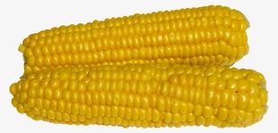 Free Png Corn Png Images Transparent - Maize