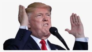 Donald Trump Argument - Donald Trump