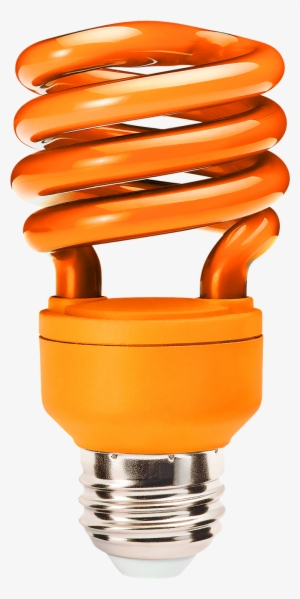 Free Download Cfl Png File With Transparent Background