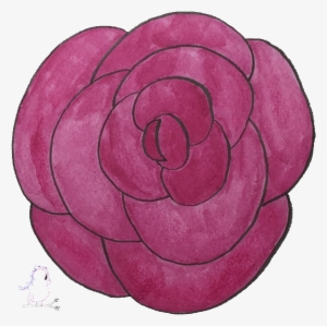 Rose Drawing Visit Craftyjbird - Persian Buttercup