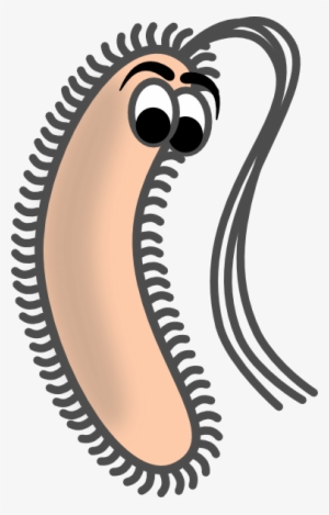 How To Set Use Funny Bacteria Svg Vector