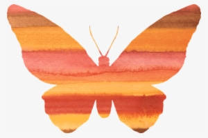 Background Page Angel Wings - Farfalla Clipart