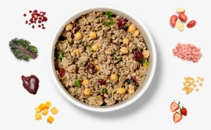 Tasty Lamb Fare - Ollie Lamb Dog Food