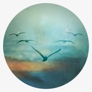 I'm Considering This As My First Tattoo - Jason Mraz Yes Album Cover