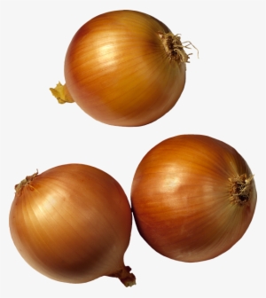 Onion Png Free Download - Onion Clipart No Background