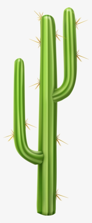 Transparent Cactus Png