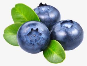 Blueberries Png