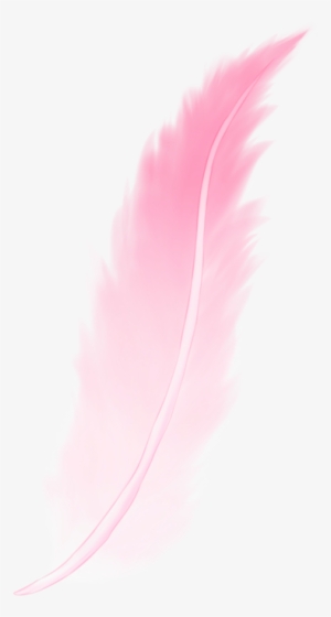 Pink Feather Png - Feather