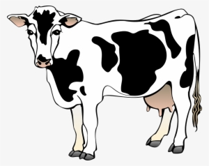 Dairy Cow Clip Art At Clker - Clipart Of A Cow
