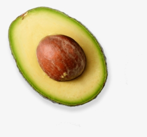 Half Avocado Png Photos - Half Avocado Png