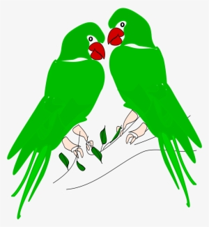 Download Parrot Png Transparent Images Transparent - Clip Art