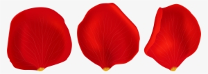 Red Rose Petals Transparent Png Clip Art - Red Rose Petals Transparent Background