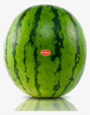 Watermelon - Women Fruit Vegetable Printed Reversible Canvas Handbags