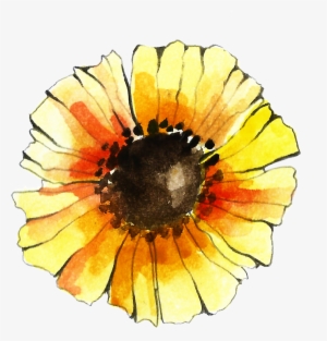 This Graphics Is Hand Painted Literary Passionate Sun