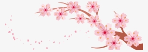Cherry Blossom Banner - Cherry Blossoms Transparent Background
