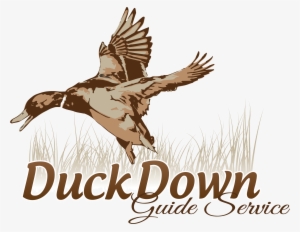 Png Logo Download - Logo Duck Hunt Png