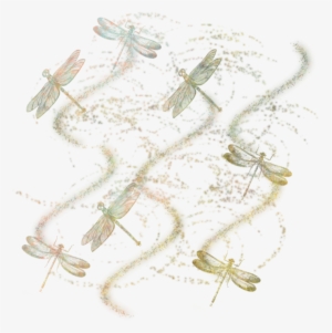 Dragonfly Masked Texture 800 X