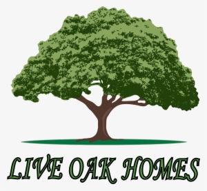 Live Oak Trees Clip Art