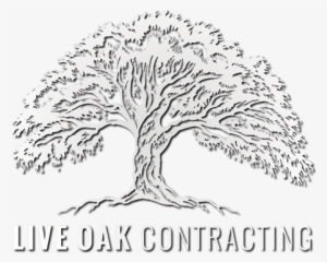 Live Oak Contracting Believes In Building Long Term - Illustration