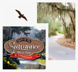 Rally 2 Live Oak Florida - Florida