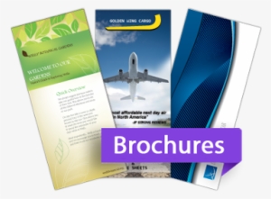 "creativity Is Our Team Strength - Brochures Online