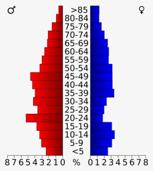 Open - Population Pyramid Of Palm Beach County