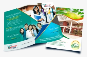 Best Brochure Design Company Offers Brochure Design - Sample Of Brochure Design For School