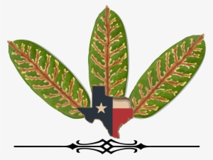 Clip Art