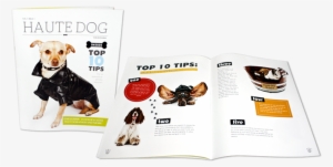 Brochures - Brochure