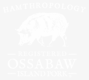 Hamthropology Ossabaw Island Pork - Dark Stories By Ryan Stenzack 9781537717838 (paperback)