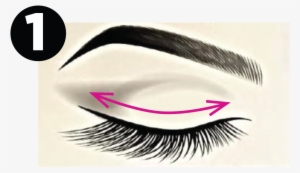 Eyelash Clipart Thick Eyelash - L'extraordinaire Lash & Brow Serum