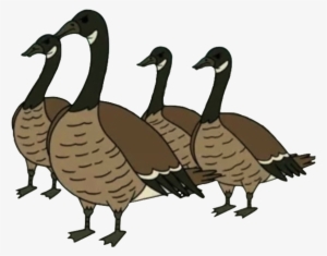 Geese - Ducks Regular Show Gif