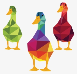 Betterthepond - Portable Network Graphics