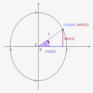 Circulo Unitario Seno Y Coseno