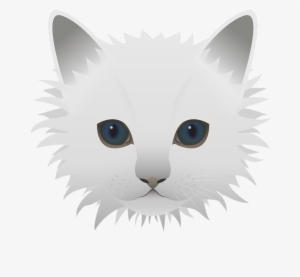 Free Image On Pixabay - Blaue Augen Der Miezekatze Große Wanduhr